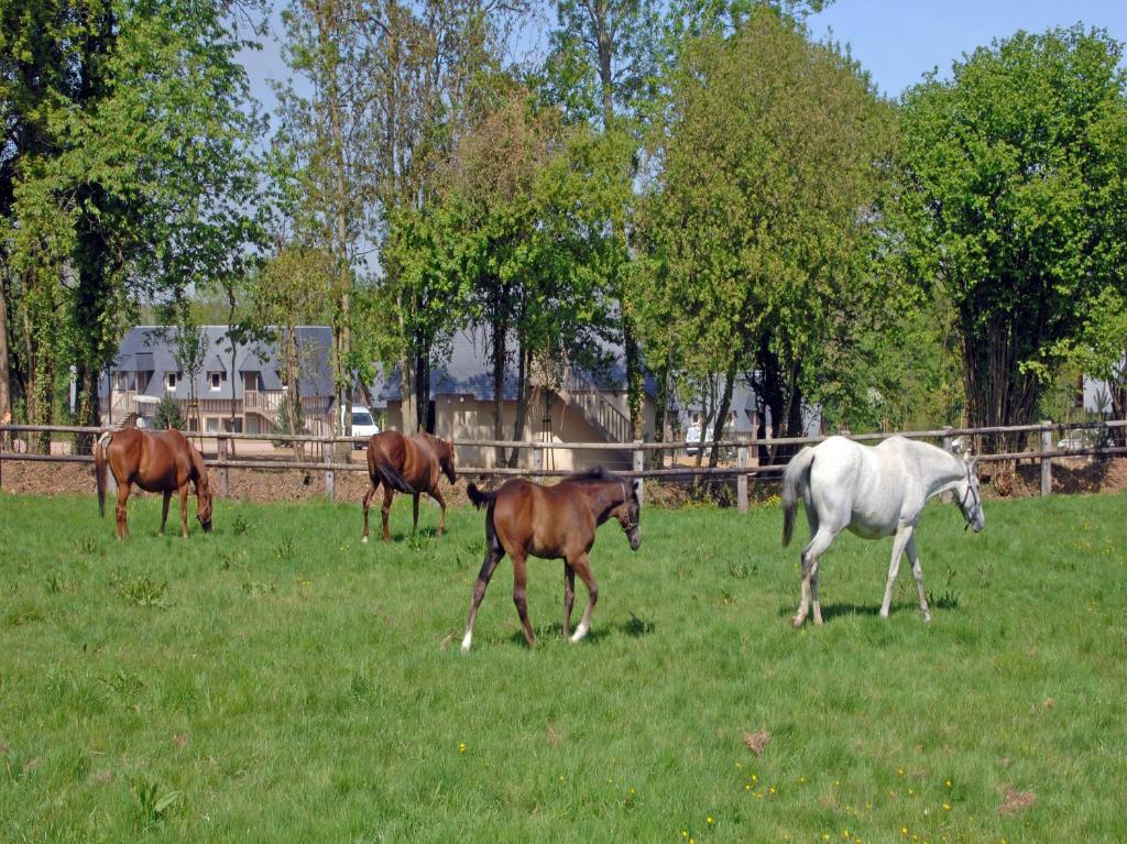 Hotel Les Manoirs De Tourgeville Deauville